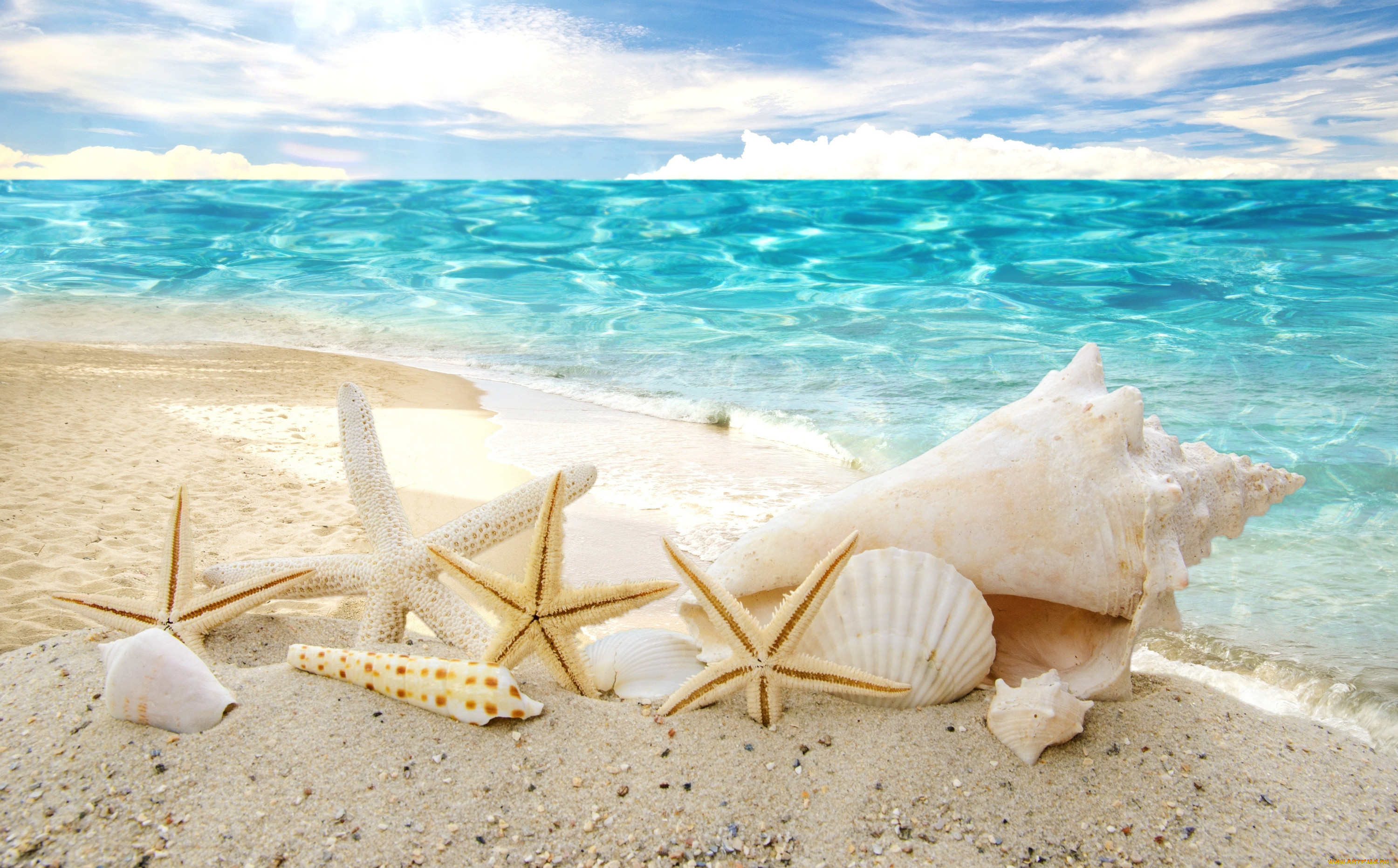 , ,  ,    spa-, summer, , , sunshine, , sea, beach, seashells, starfishes, , , sky, sand